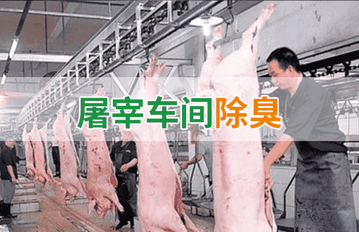屠宰場臭氣影響周邊環(huán)境？解決辦法在這里-1