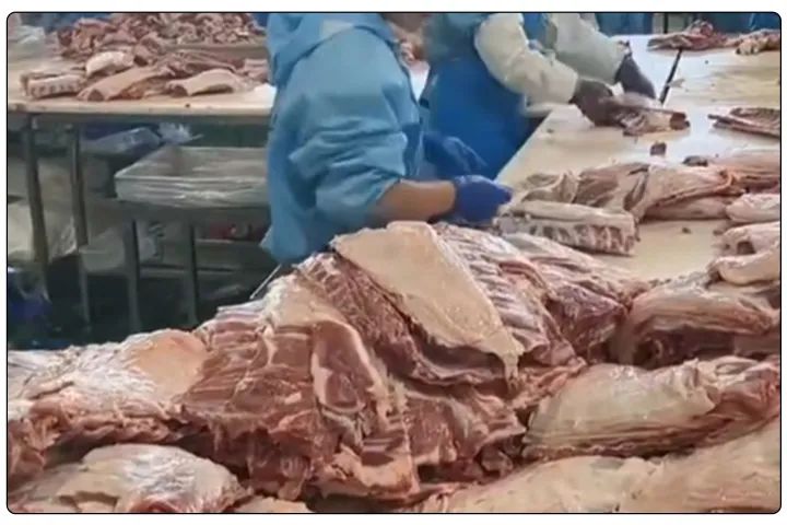 屠宰工廠惡臭影響周邊，使用除臭劑有什么注意要點(diǎn)？.jpg