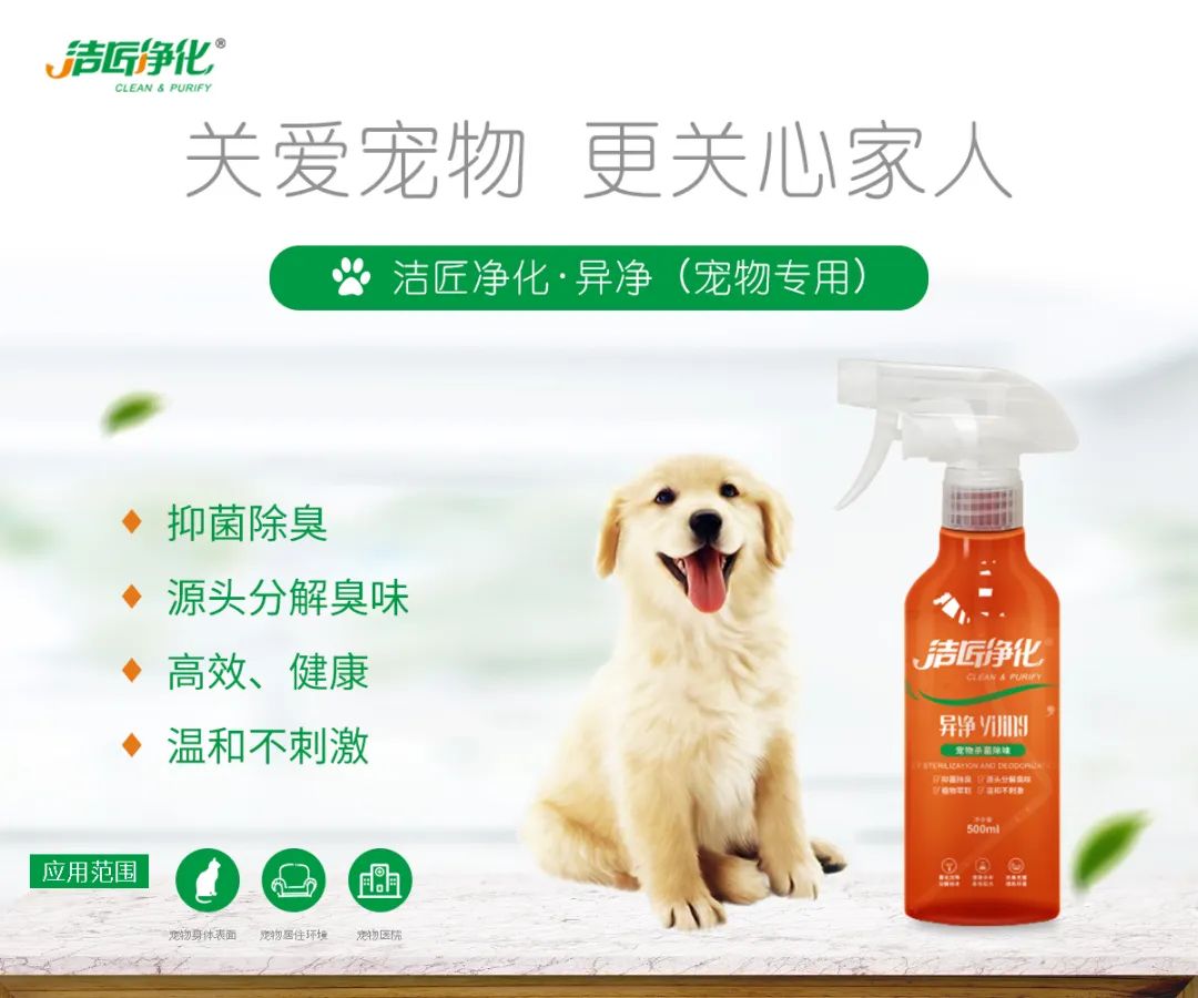 寵物氣味彌漫整個(gè)屋子，潔匠凈化教您如何除味